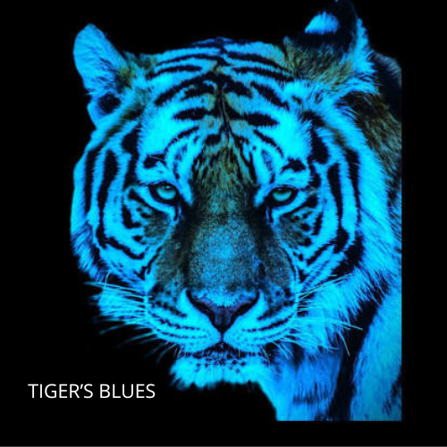 Tiger Blues