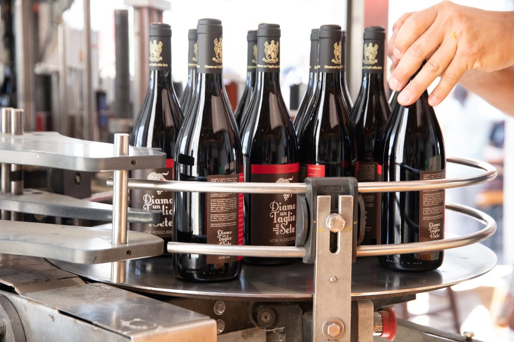 Vino della Solidarietà in produzione